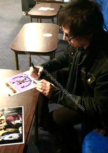 flamin groovies